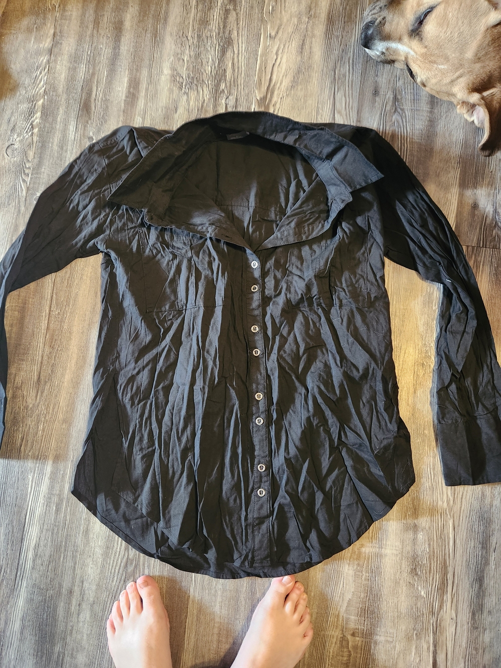 Pavement Black Women's Button-Front Top